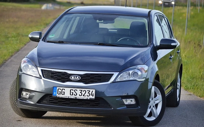 Kia Ceed cena 24900 przebieg: 88000, rok produkcji 2010 z Margonin małe 211